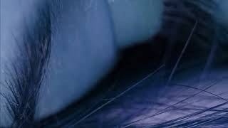 The 69 Eyes - You&#39;re Lost Little Girl (Demo)