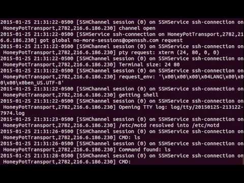 Honeypot Kippo. HUGE log after only 3 days