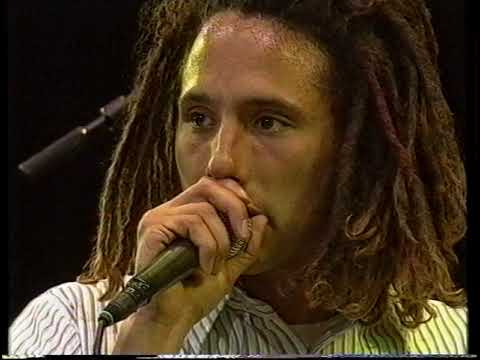 Rage Against The Machine - Fistful Of Steel (Pinkpop Festival 1994)