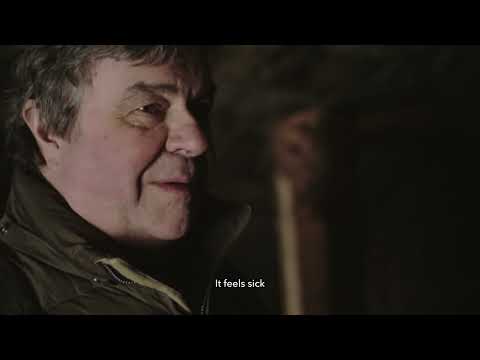 Electric Malady | #EIFF22