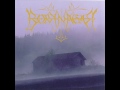 Borknagar - Dauden