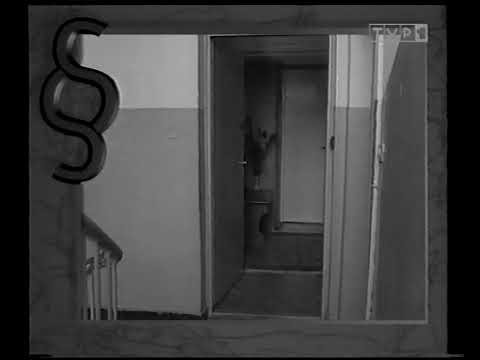 Program Pierwszy - Fragmenty programów edukacyjnych. 1994 r.