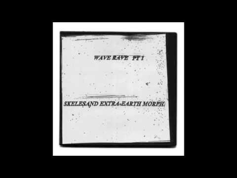 Pacific Rat Temple Band (James Ferraro) ‎– Wave Rave Pt 1 - Skelesand Extra Earth Morph