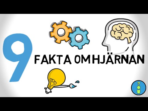 9 FAKTA OM HJÄRNAN