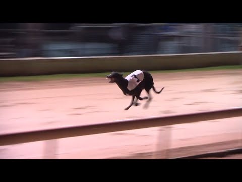 2021 SIS Juvenile Derby Final