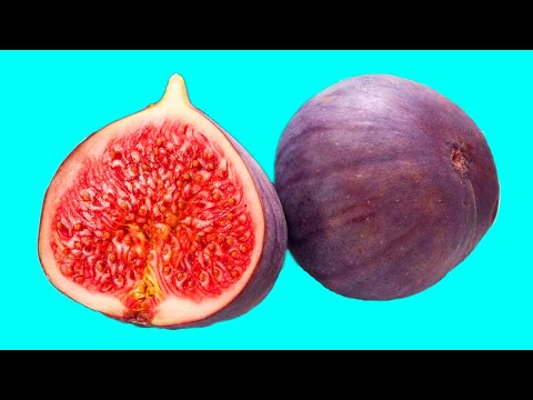 Hidden Patterns Inside Exotic & Tropical Fruits & Vegetables [Satisfying & ASMR] stop-motion