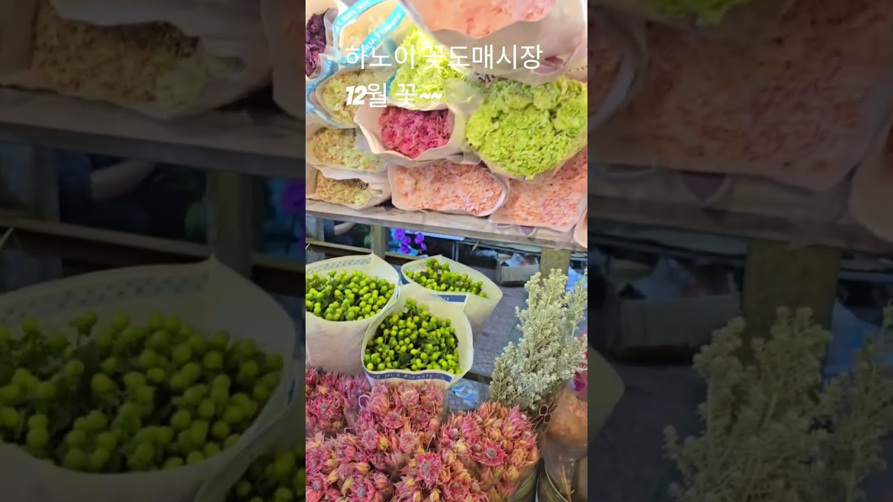 임영웅가수님 노래 함께 들어요 #임영웅 #임영웅유튜브 #베트남하노이 #꽃 #꽃꽂이 #하노이 #베트남