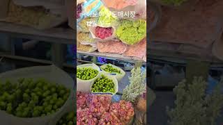 임영웅가수님 노래 함께 들어요 #임영웅 #임영웅유튜브 #베트남하노이 #꽃 #꽃꽂이 #하노이 #베트남