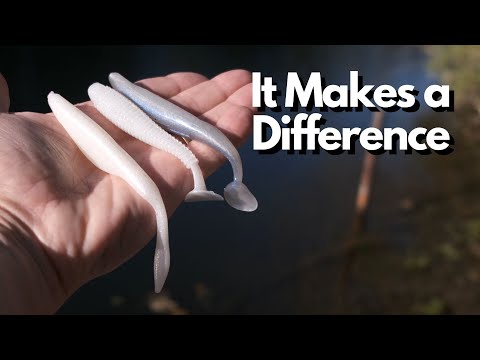 Each of These Has Their Place - But When and Why? Bass Fishing with Soft Jerkbaits and Swimbaits