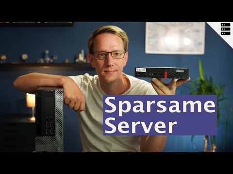 Power-saving server with thin clients