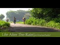 Life After The Rain Tiruvannamalai Arunachala 4K