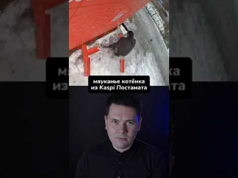 Изверги ЗАКРЫЛИ Кота в ПОСТАМАТЕ?