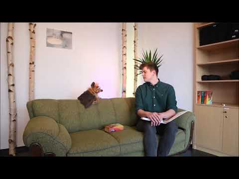 P3 Life Channel Hof - KIDS Version #1 - Frohe Ostern