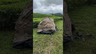 Download lagu Quite refreshing mp3 Download lagu Quite refreshing mp3