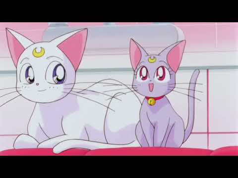 Sailor Moon Super S The Movie Black Dream Hole