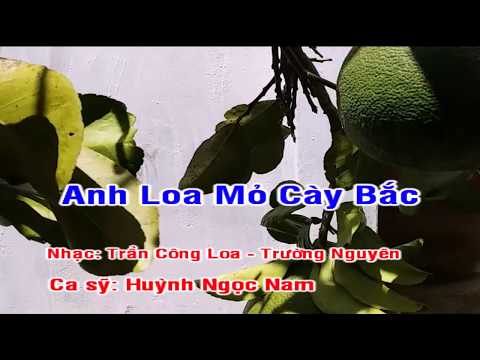Anh Loa Mỏ Cày Bắc - Huỳnh Ngọc Nam