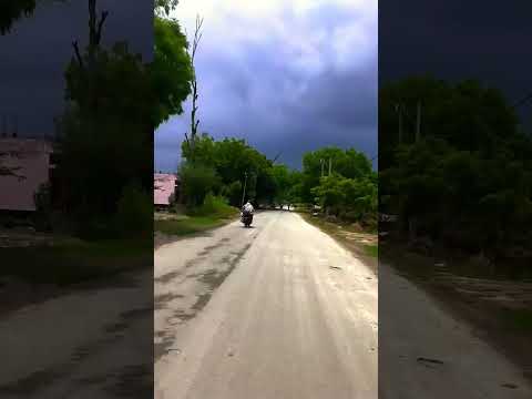 Nature lovers #bangladesh #naturelovers #shortvideo #viralvideo #ytshorts