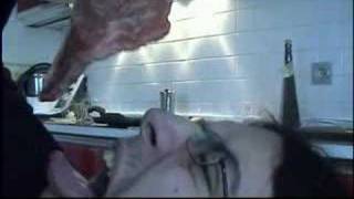 frankenstein and his horse