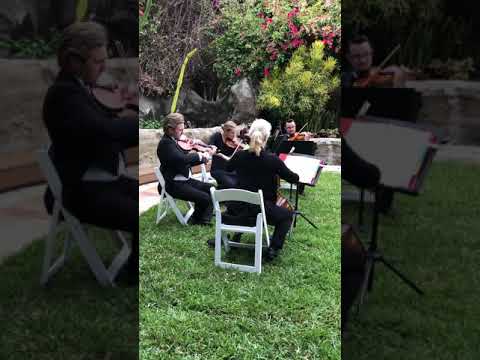 Promotional video thumbnail 1 for Rebecca Ryan - Violinist