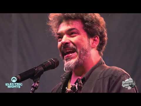 VIȚA DE VIE - Live la Electric Nights Festival | Summer Camp Brezoi | 12 august 2022