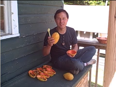 Best Raw Food Event of 2012 - WoodStock Fruit Festival Review Video