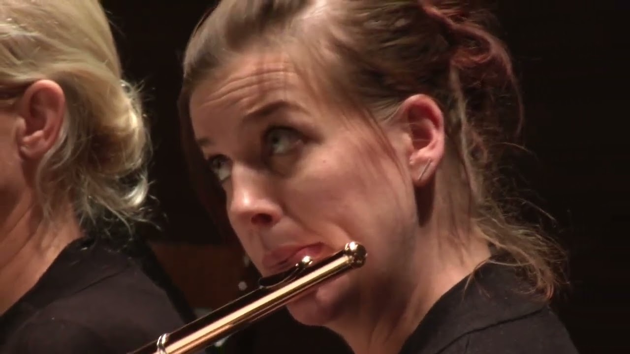 Beethoven Symphony No  5 op  67 in c minor - CASCO PHIL, The Chamber Orchestra of Belgium