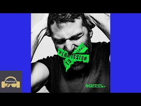 Ciaran_mcauley_and_jeff_rona-the_beautiful_no - 3B - 137.99