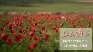 David | Israel Adventure | Back to The Valley of Elah