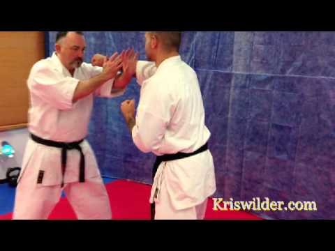 Kris Wilder - Gekisai Kata   Smashing Elbow