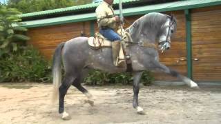 Vicente Fernandez  El Alazan y El Rosillo  El Zafiro