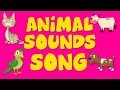 Animal Sound Song Nursery Rhyme For Kids Kids Song