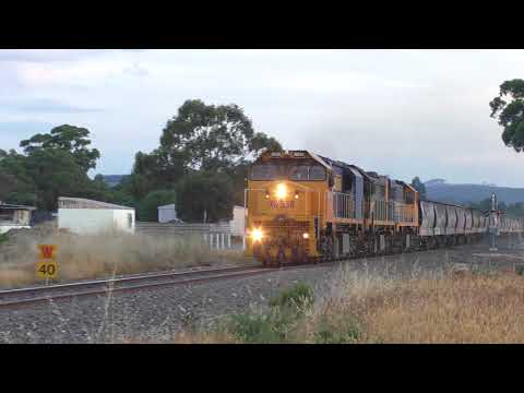 Pacific National Empty Grain Train Powering through Creswick - Australian Trains