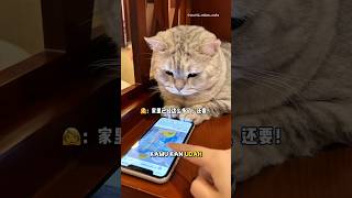 Download lagu kejutan dari Babu untuk Milo🎉 #kucing #kucingmilo mp3