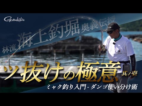 もう釣れないとはいわせない！～ダンゴローテーションの秘訣～【海上釣堀】