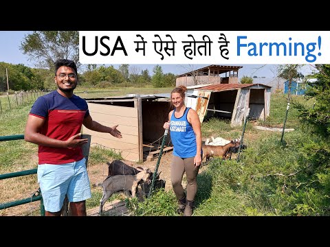 , title : 'अमेरिकन Farm पे ऐसी होती है life| A day spent on farm in USA 🇺🇸 Chickens, Goats, etc. | IndiaVlogger'