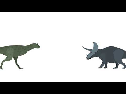 PDFC - Carnotaurus vs Triceratops