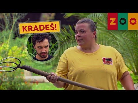 ZOO (3) - Kradeš!