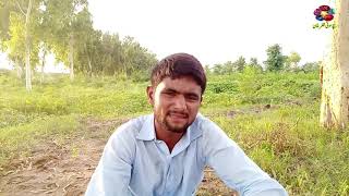 Download lagu Adi Wadi Gal Koi Nahi - Singar Asad Ijaz - Latest Song 2020 - Latest Punjabi And Saraiki song mp3 Download lagu Adi Wadi Gal Koi Nahi - Singar Asad Ijaz - Latest Song 2020 - Latest Punjabi And Saraiki song mp3