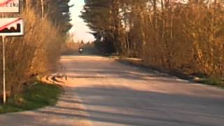 Cisza przed burza HD streaming Eagle