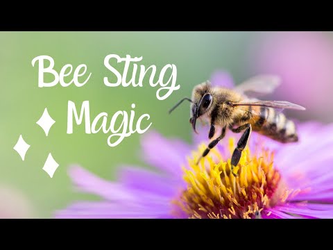 The Spiritual Meaning of Getting a Bee Sting. My Positive Interpretation #Beestingmagic
