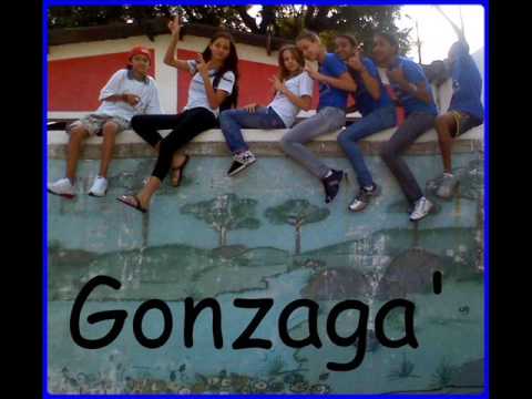 gonzaga zika