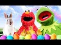 Elmo And Kermit The Frogs Easter Surprise