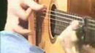 Paco de Lucia - Almoraima Falseta - Bulerias (Good Quality)