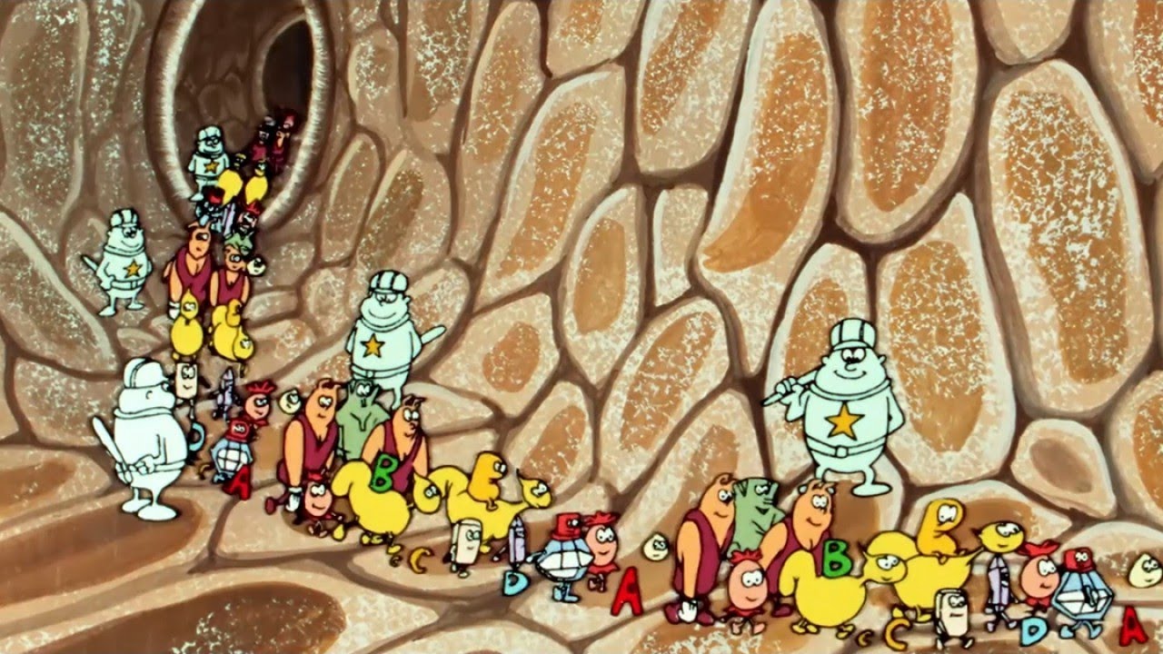 Erase Una Vez... La Vida (El Cuerpo Humano) - 18 El sistema linfático