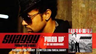 Shaggy ft  Pitbull   Fired Up F ck The Rece$$ion! Official Audio