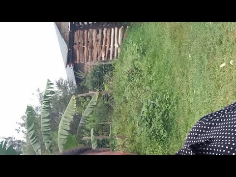 welcome  🙏 another county #@ kisii town