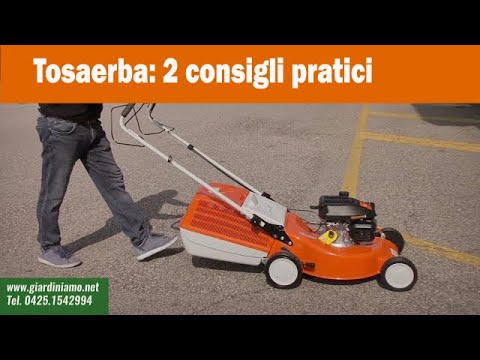 Miniatura Video