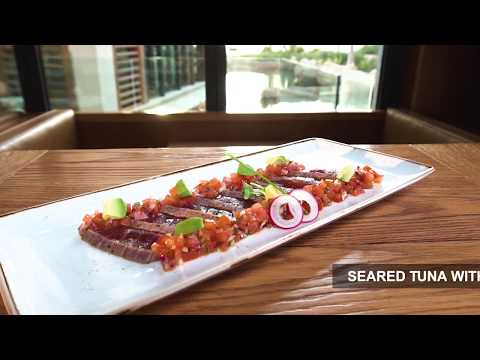 Katsuya By Starck - Customer Success Story