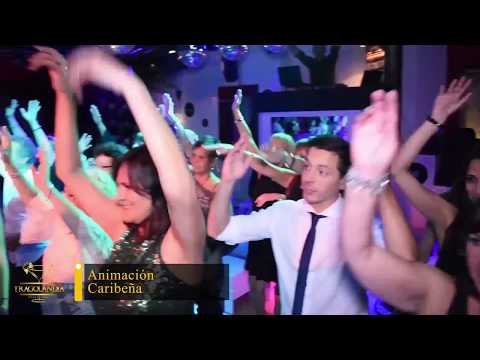 Selfie Station, Brindis de Cortesía, Animación Caribeña