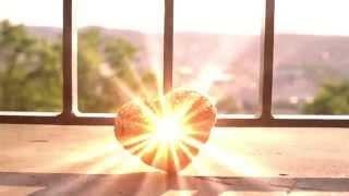 Enzo Polito feat. Yahya Salman - Golden Heart (Official Video)